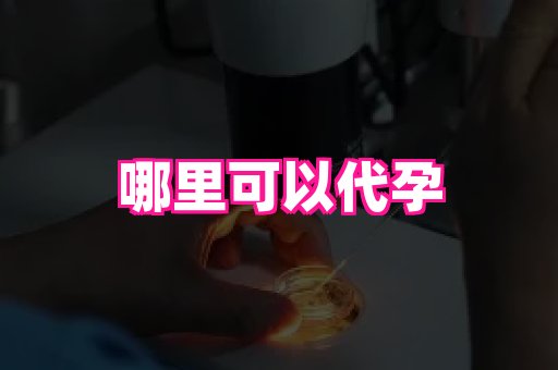 合肥助孕网站 4